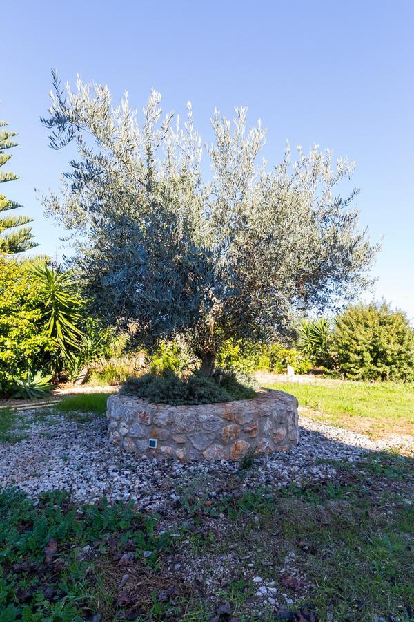 Can Tut Campanet Exterior foto